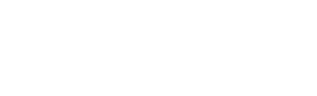 VVSG